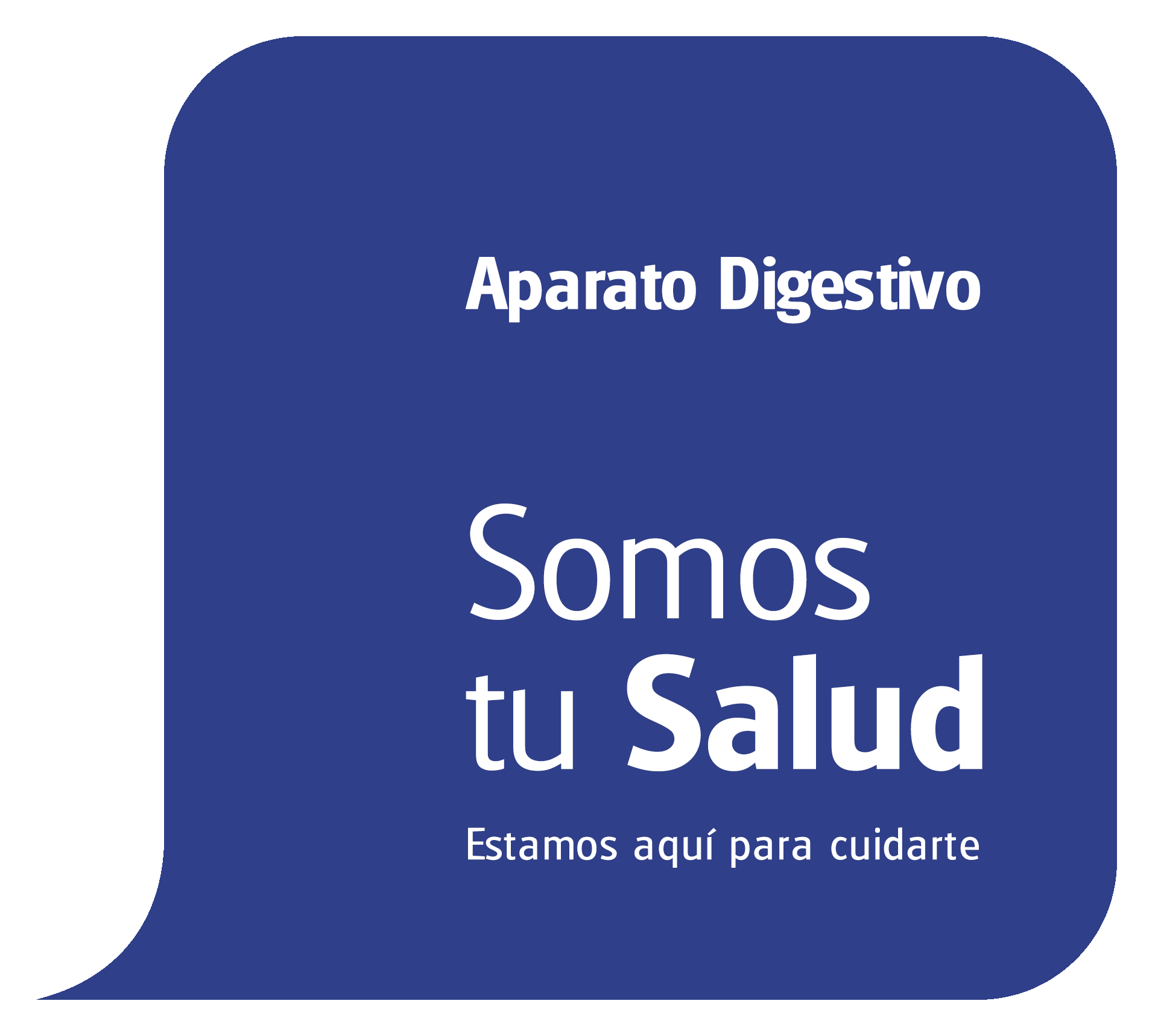 aparato-digestivo-en-torremolinos-HM-Santa-Elena